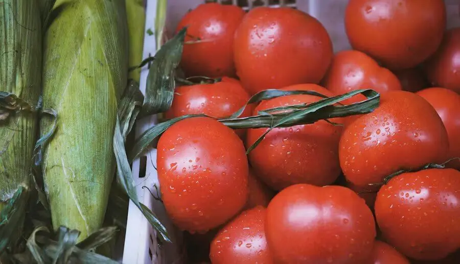 Fresh tomatoes and sweetcorn