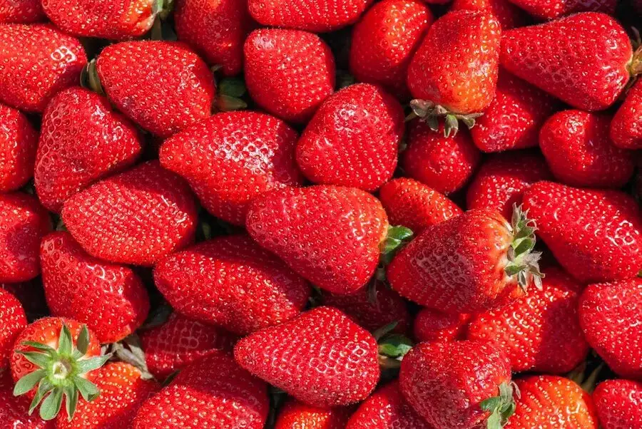 Fresh strawberries