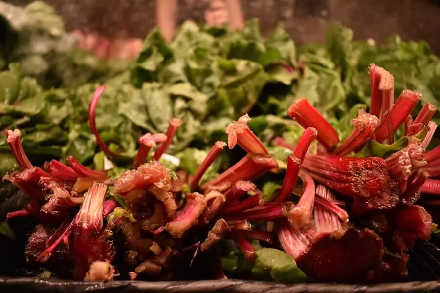 Red-stemmed chard and leafy greens