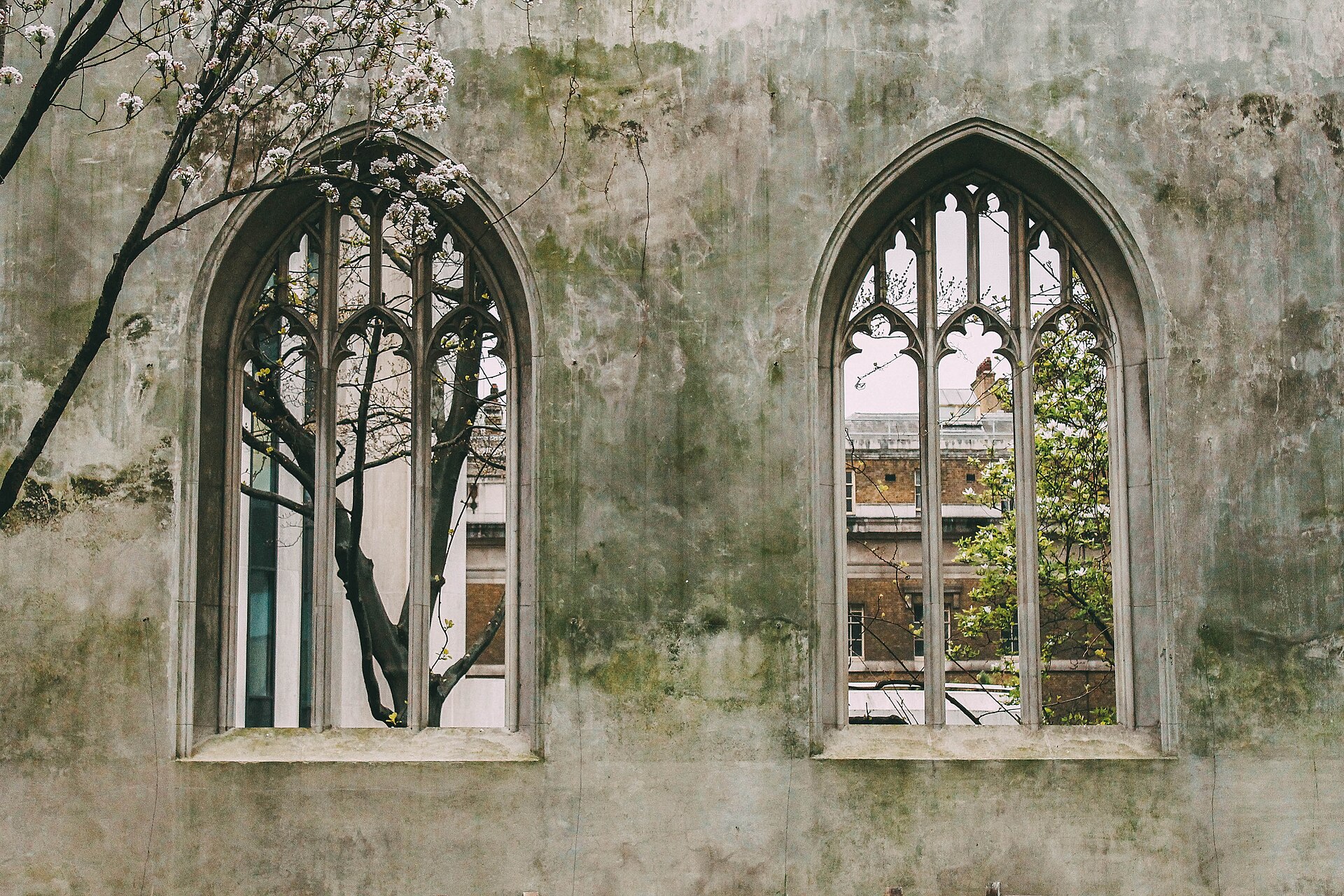 Le jardin de St Dunstan in the East parmi les ruines de l’église